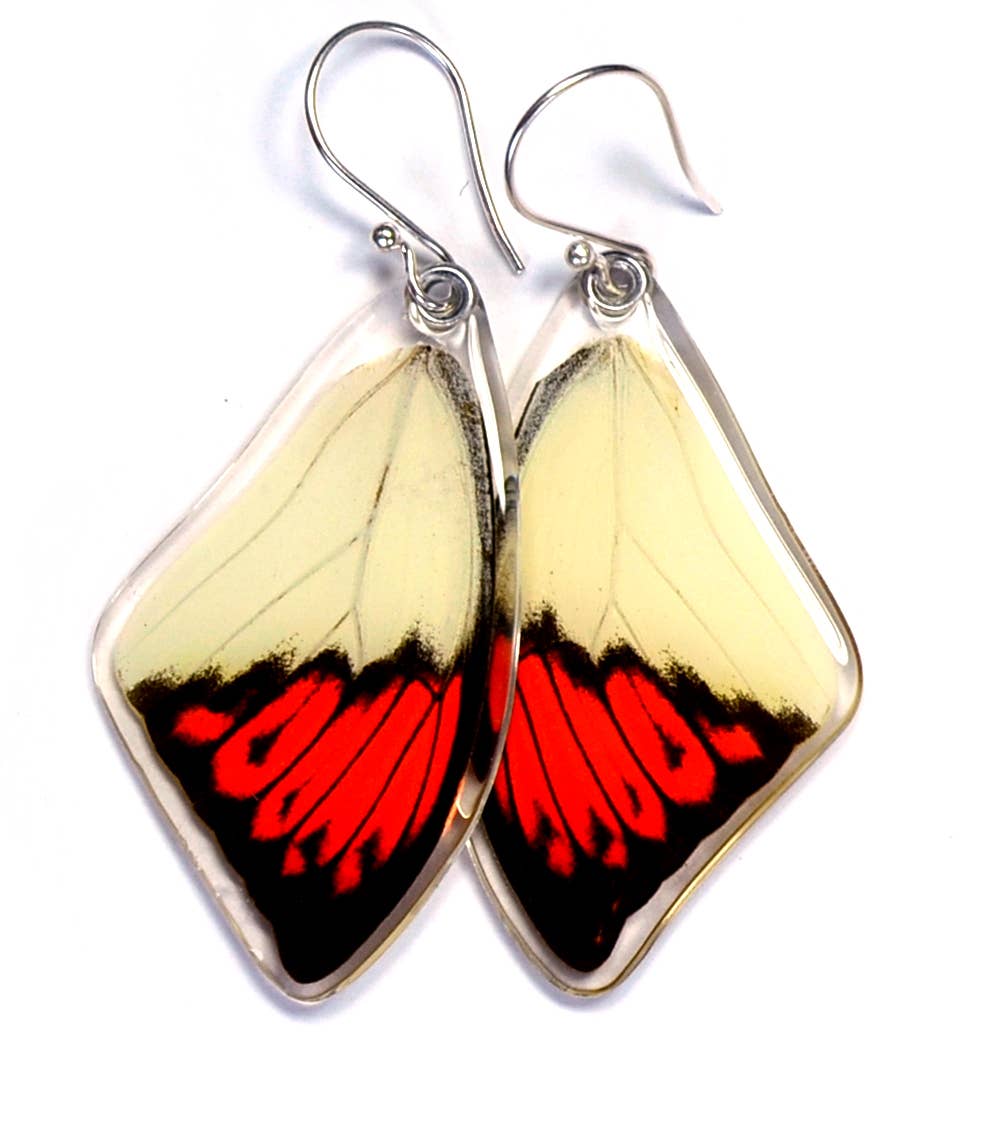 Butterfly Earrings, Hebomoia Glaucippe