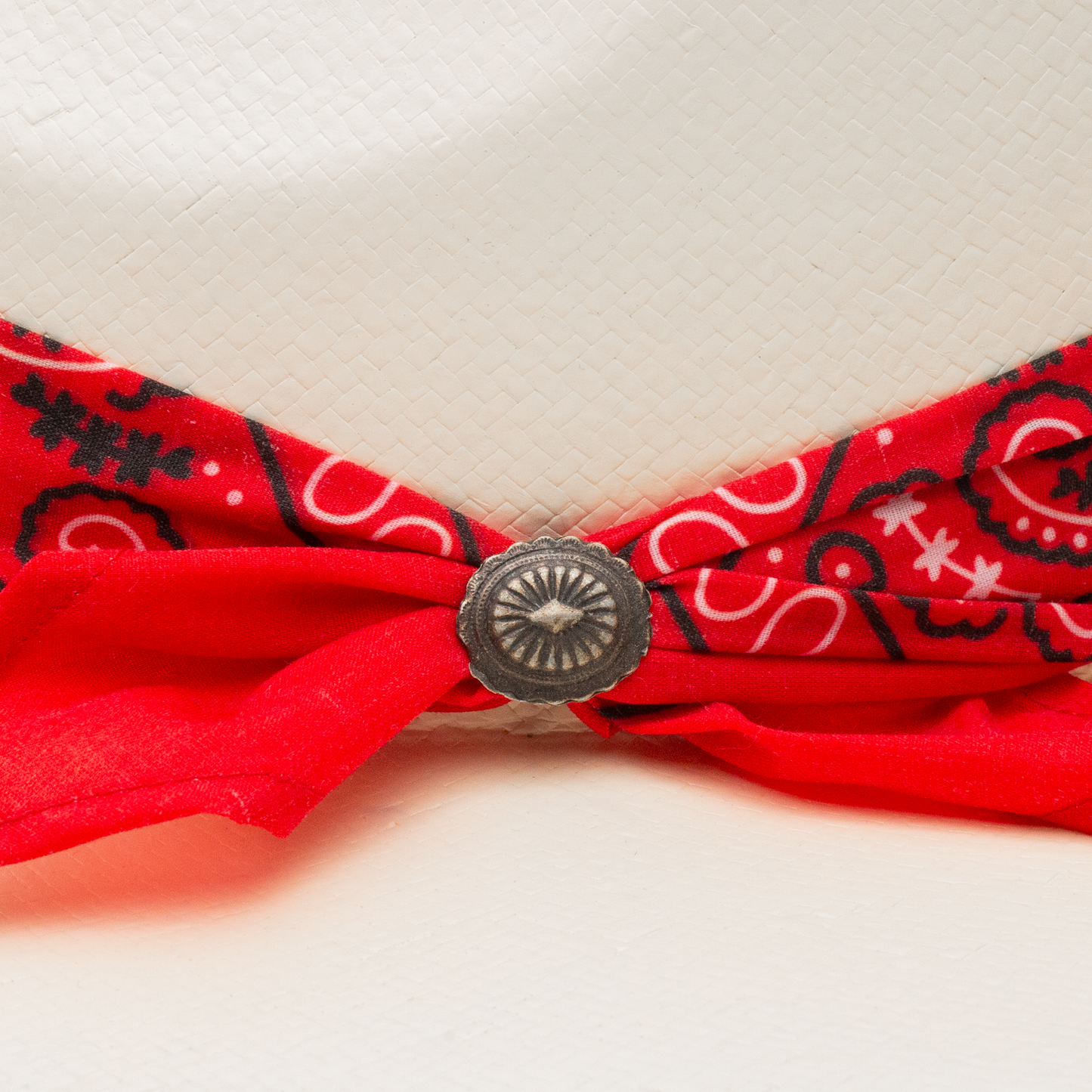 Charlie 1 Horse 'Dreamcatcher'