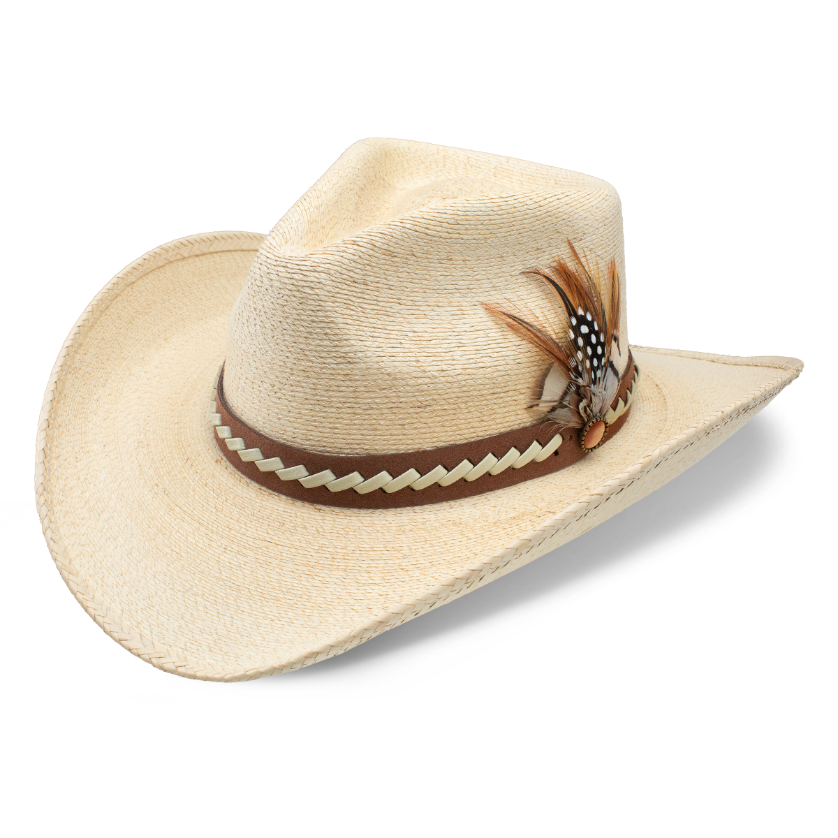 Charlie 1 Horse 'Road Runner'