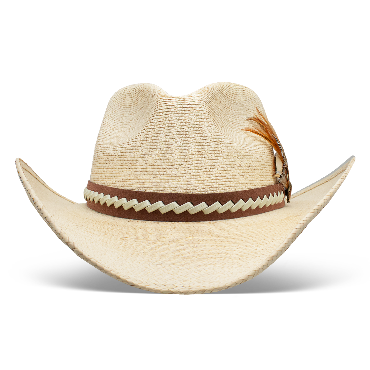 Charlie 1 Horse 'Road Runner'