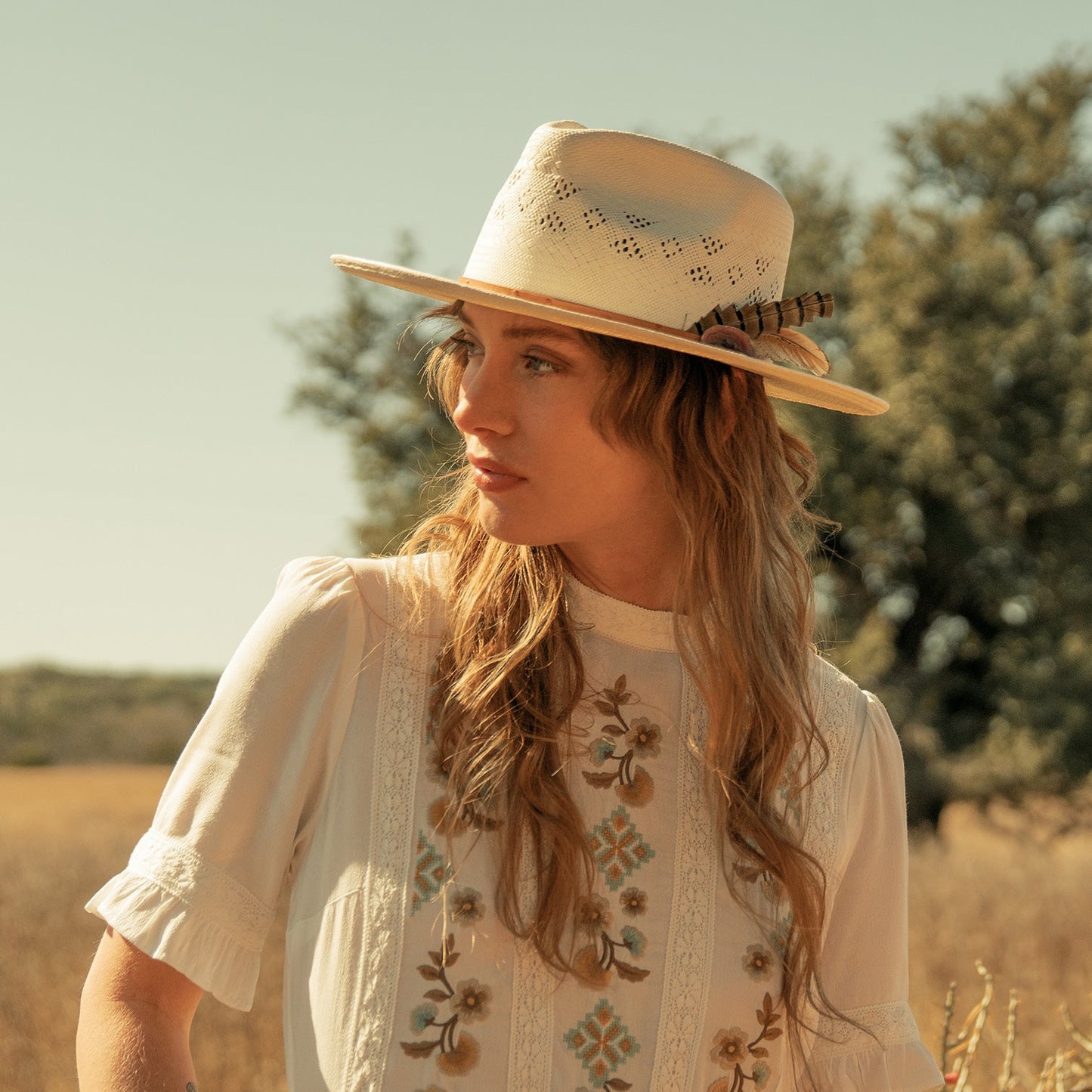 STETSON Andromeda