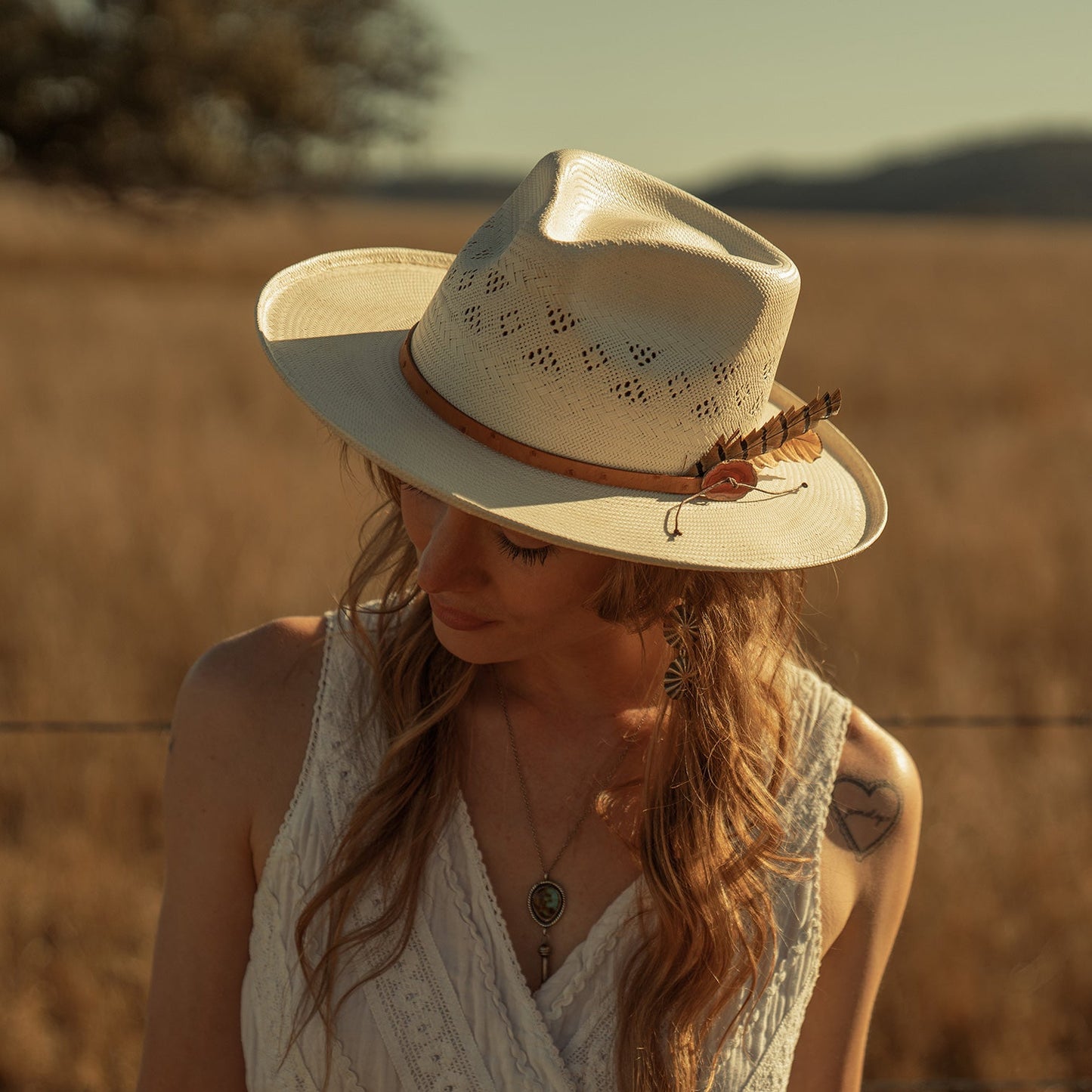 STETSON Andromeda