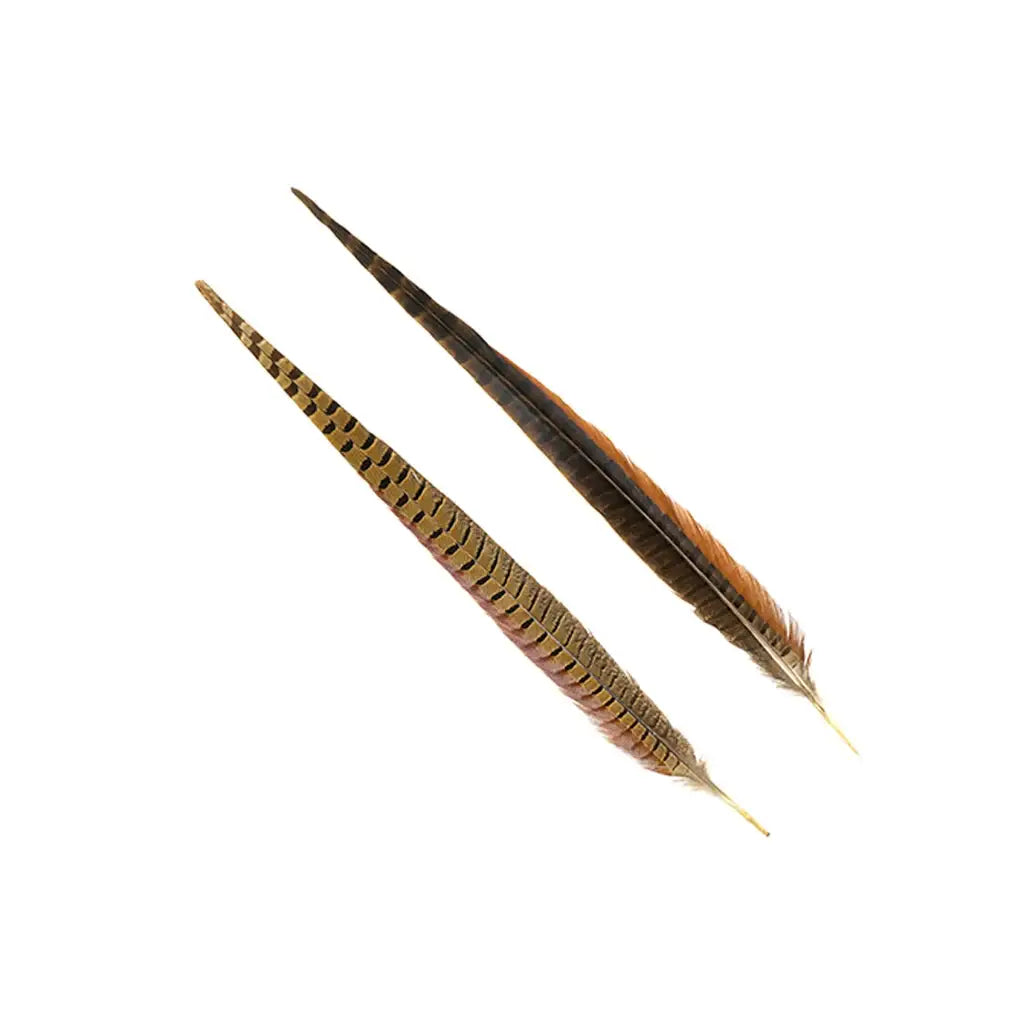 10 PC/PKG Female Ringneck Pheasant Tails 4-6"- Natural