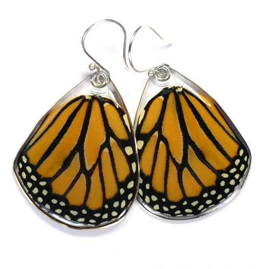 Butterfly Earrings, Monarch