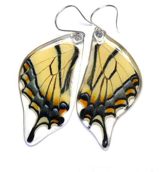 Butterfly Earrings, Eastern Tiger Swallowtail