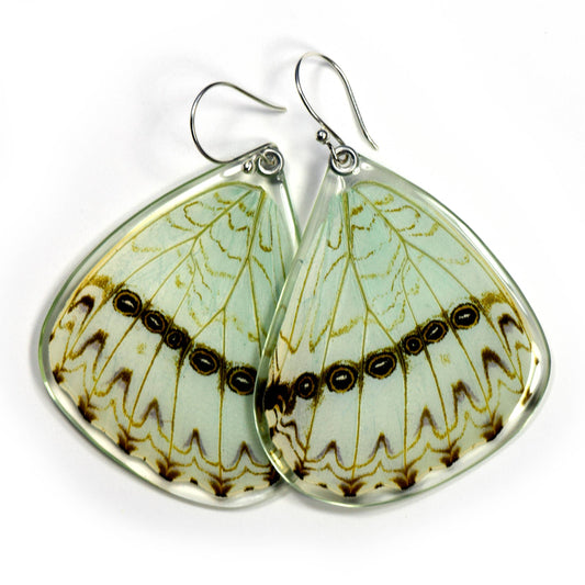 Butterfly Earrings, Mint Morpho Butterfly