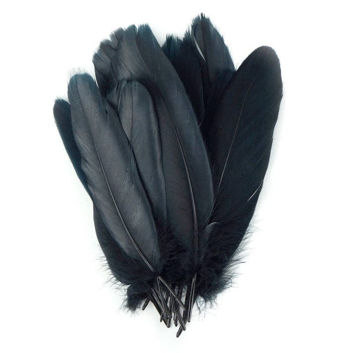 Goose Pallet Feathers 6-8" - 12 pc - Black