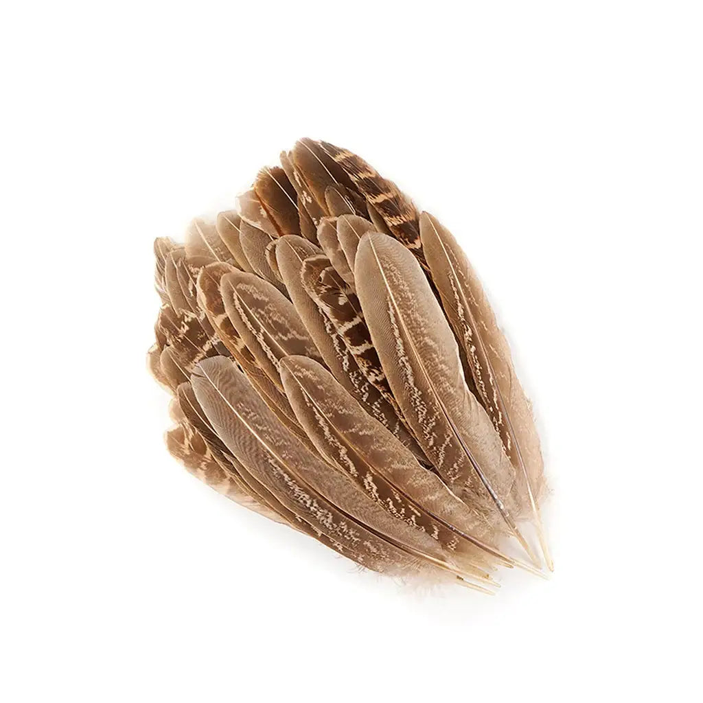 Ringneck Feathers Pheasant Rounds - Natural