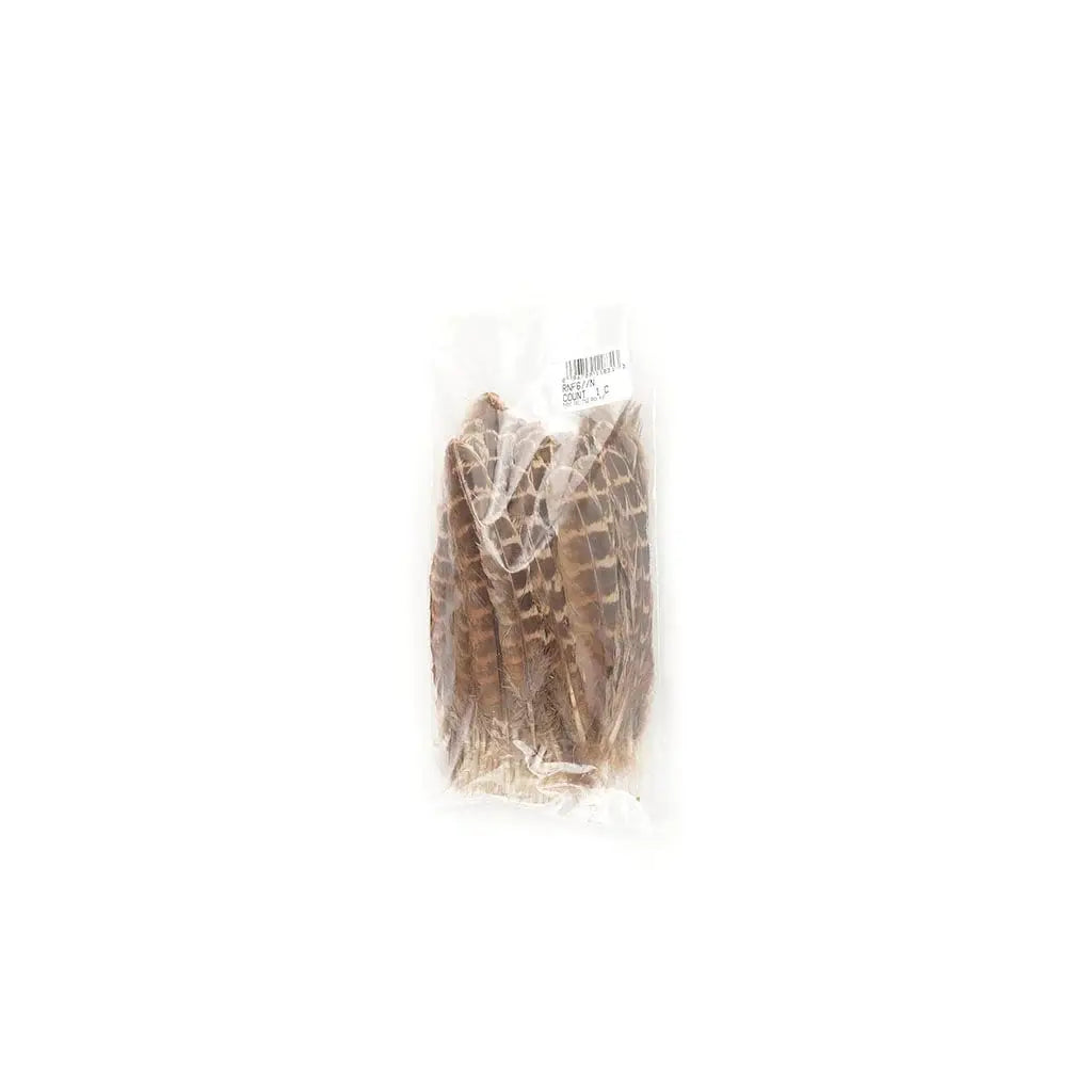 10 PC/PKG Female Ringneck Pheasant Tails 4-6"- Natural