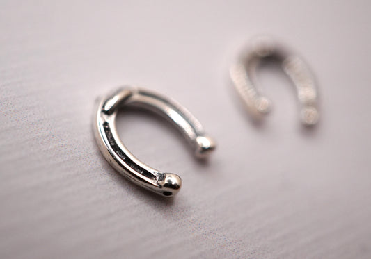 Earrings Horseshoe Posts