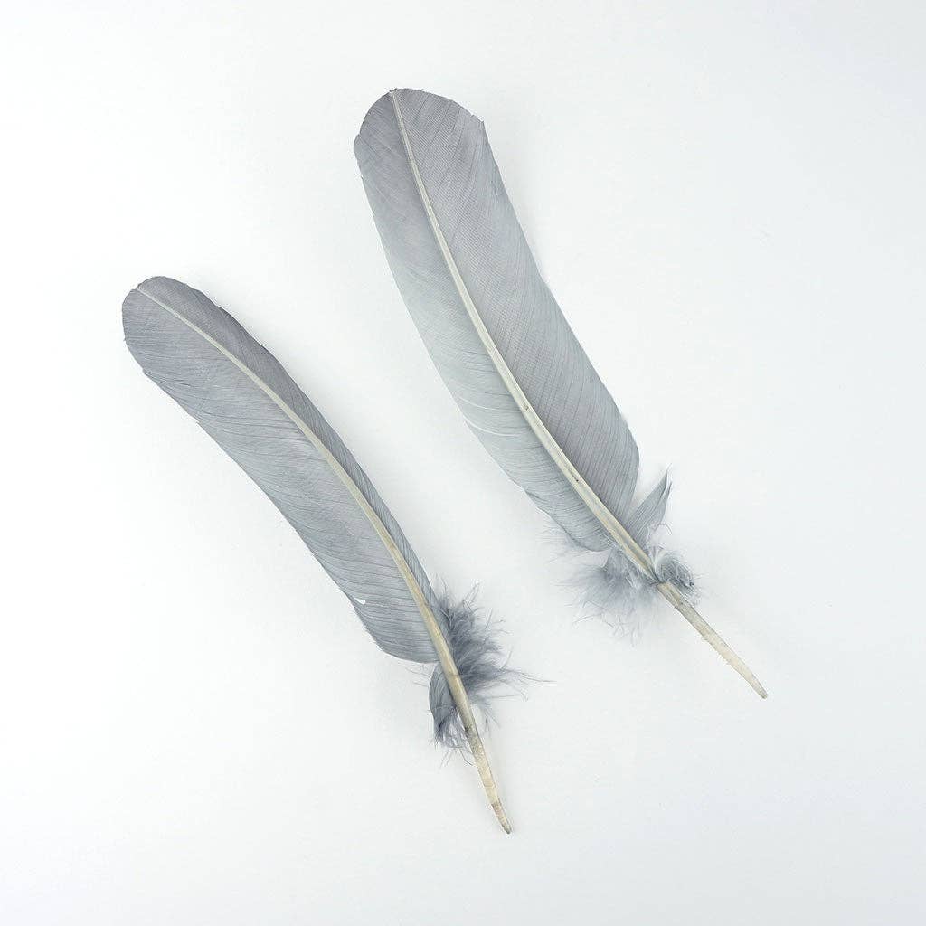Turkey Quills Dyed Feathers - Silver