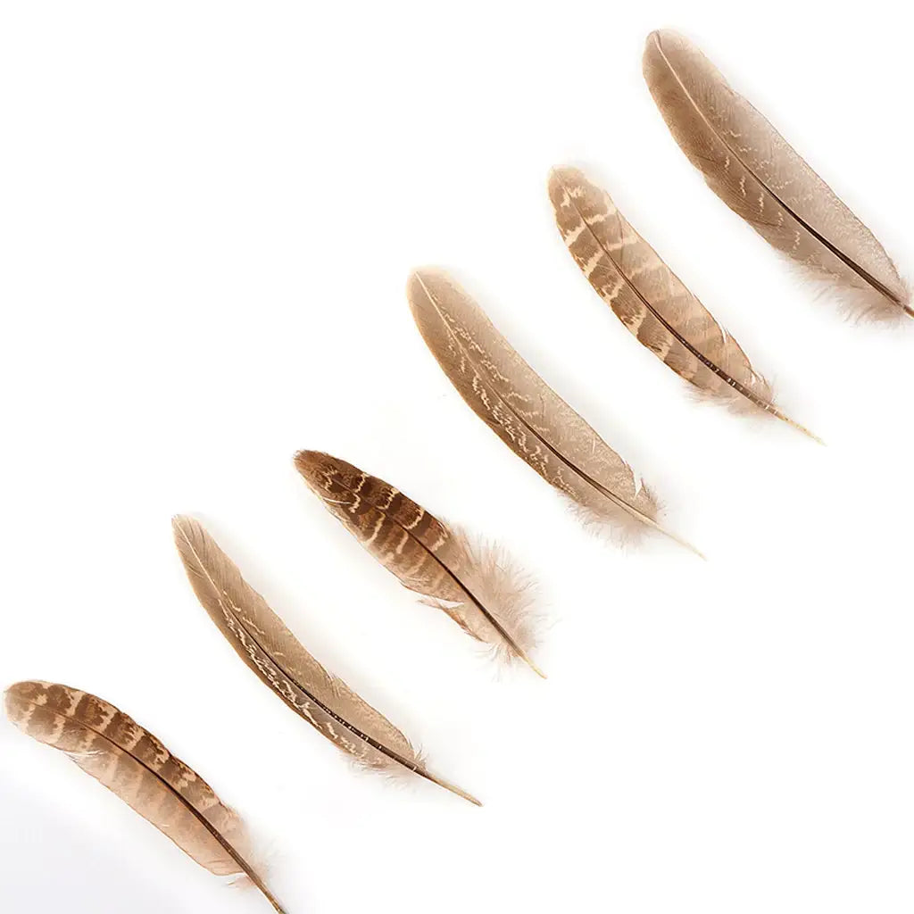 Ringneck Feathers Pheasant Rounds - Natural