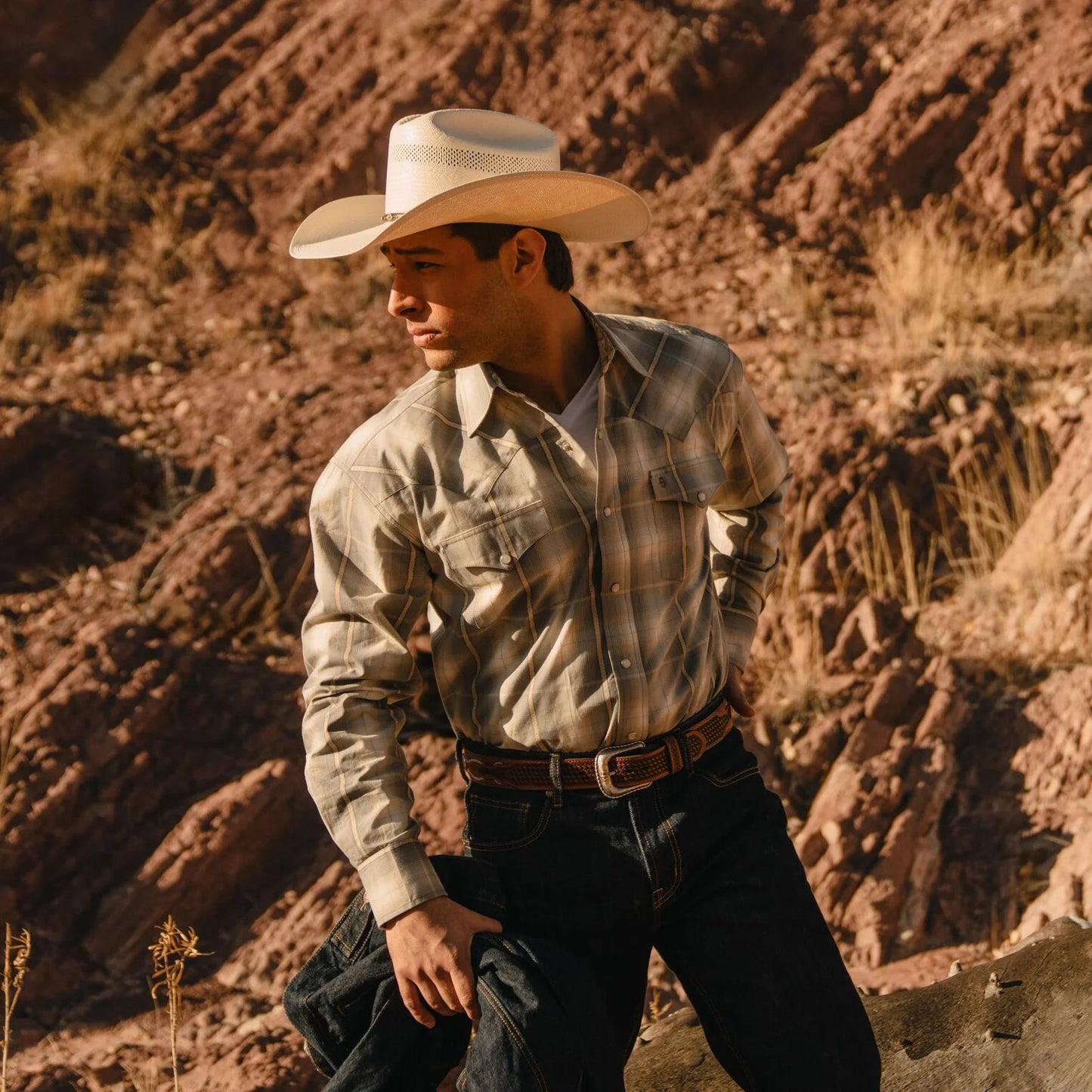 STETSON ‘Lobo’