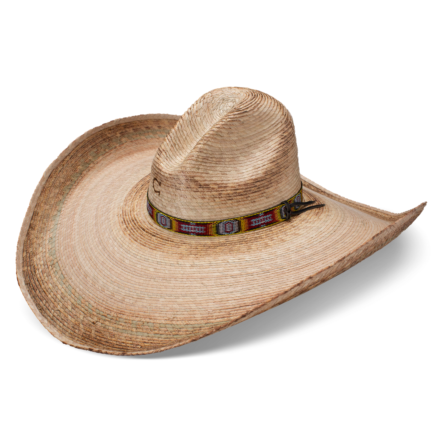 Charlie 1 Horse 'Coyote'