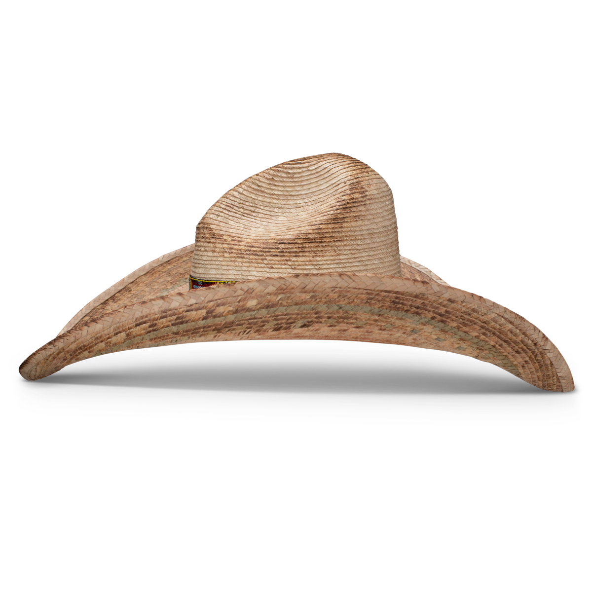 Charlie 1 Horse 'Coyote'