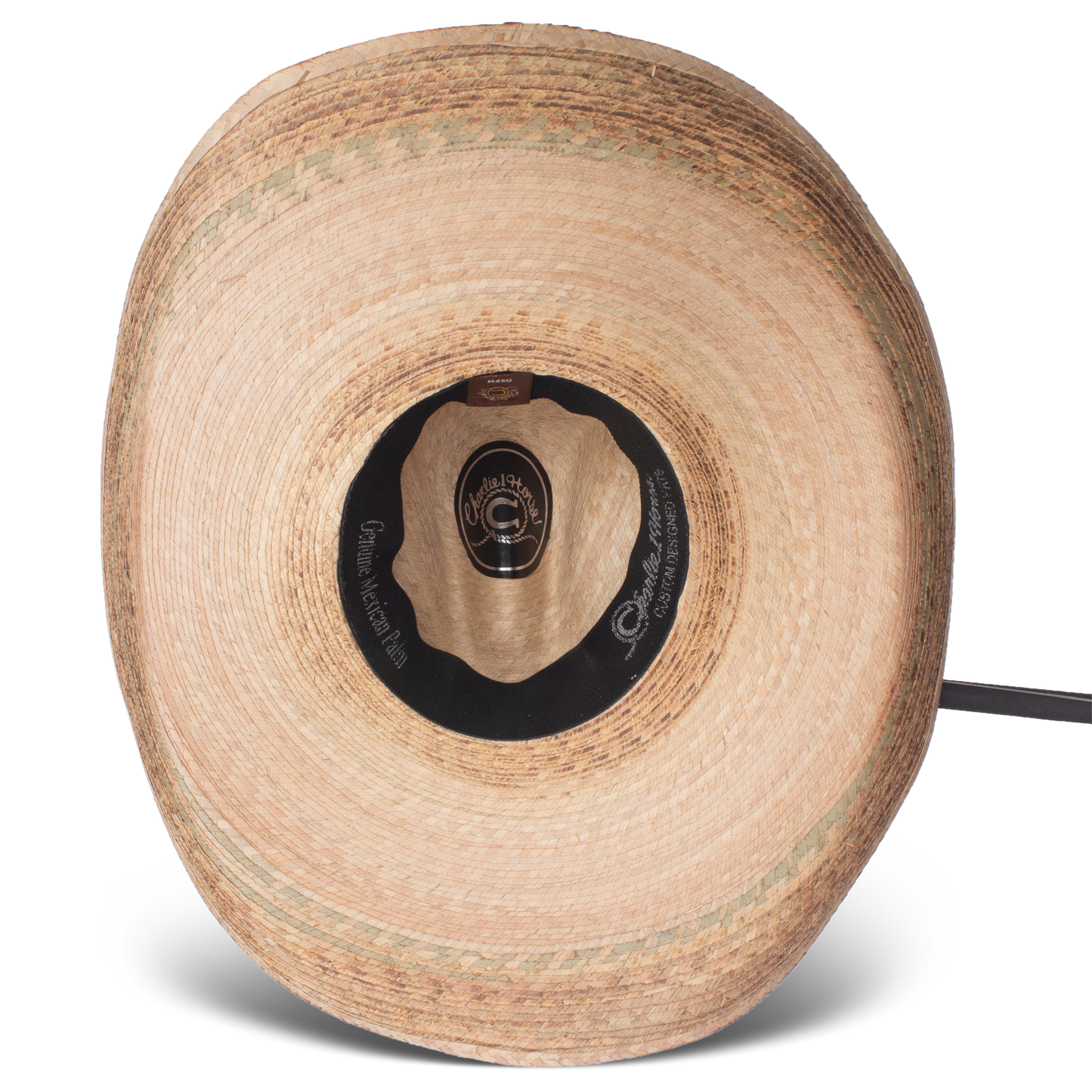 Charlie 1 Horse 'Coyote'