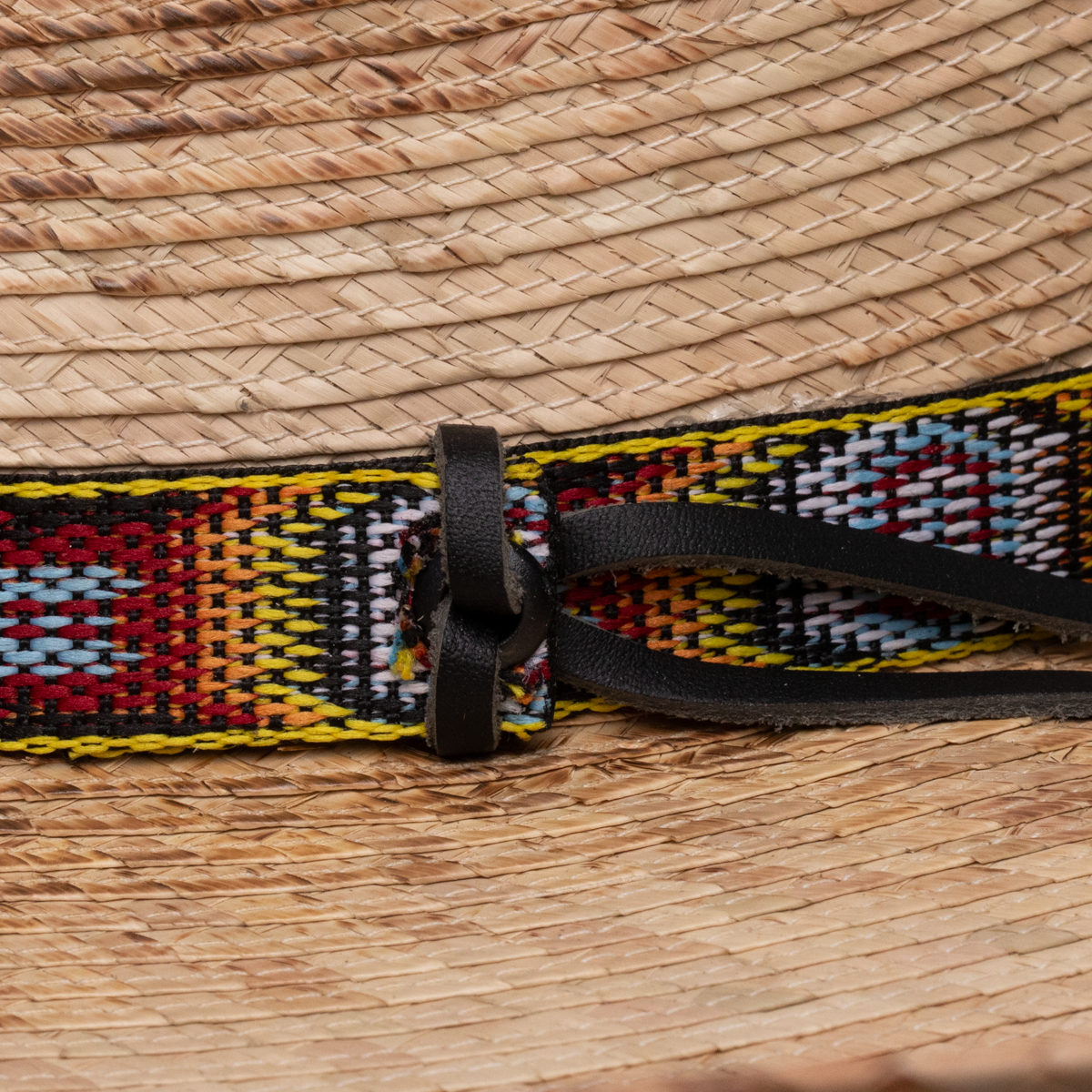 Charlie 1 Horse 'Coyote'