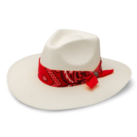 Charlie 1 Horse 'Dreamcatcher'