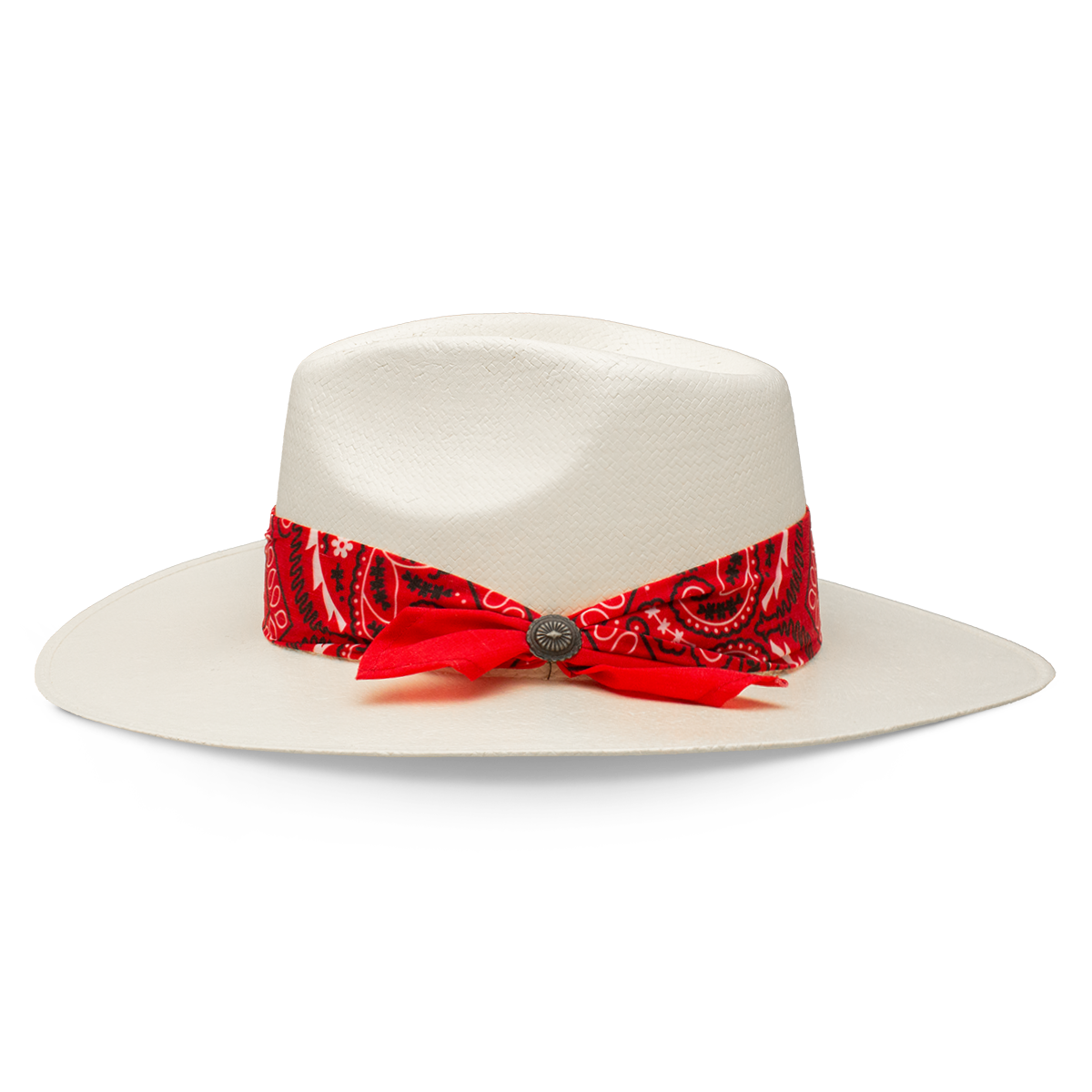 Charlie 1 Horse 'Dreamcatcher'