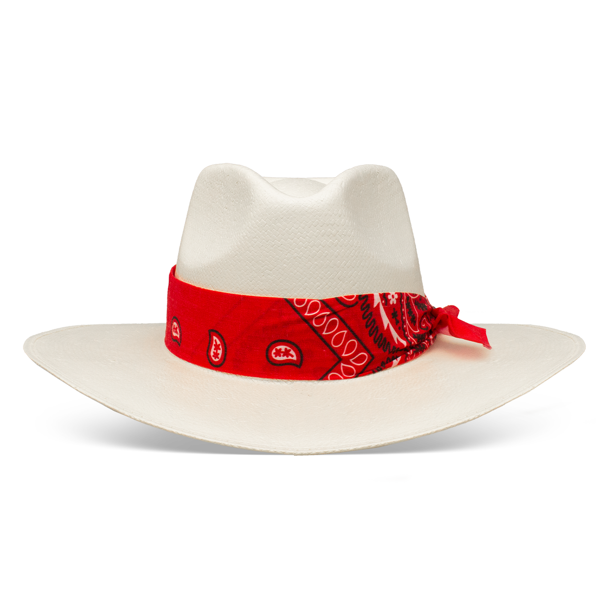 Charlie 1 Horse 'Dreamcatcher'