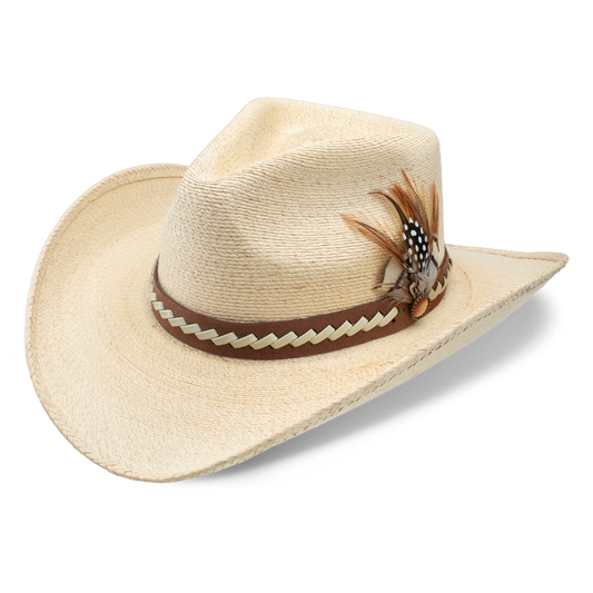 Charlie 1 Horse 'Road Runner'