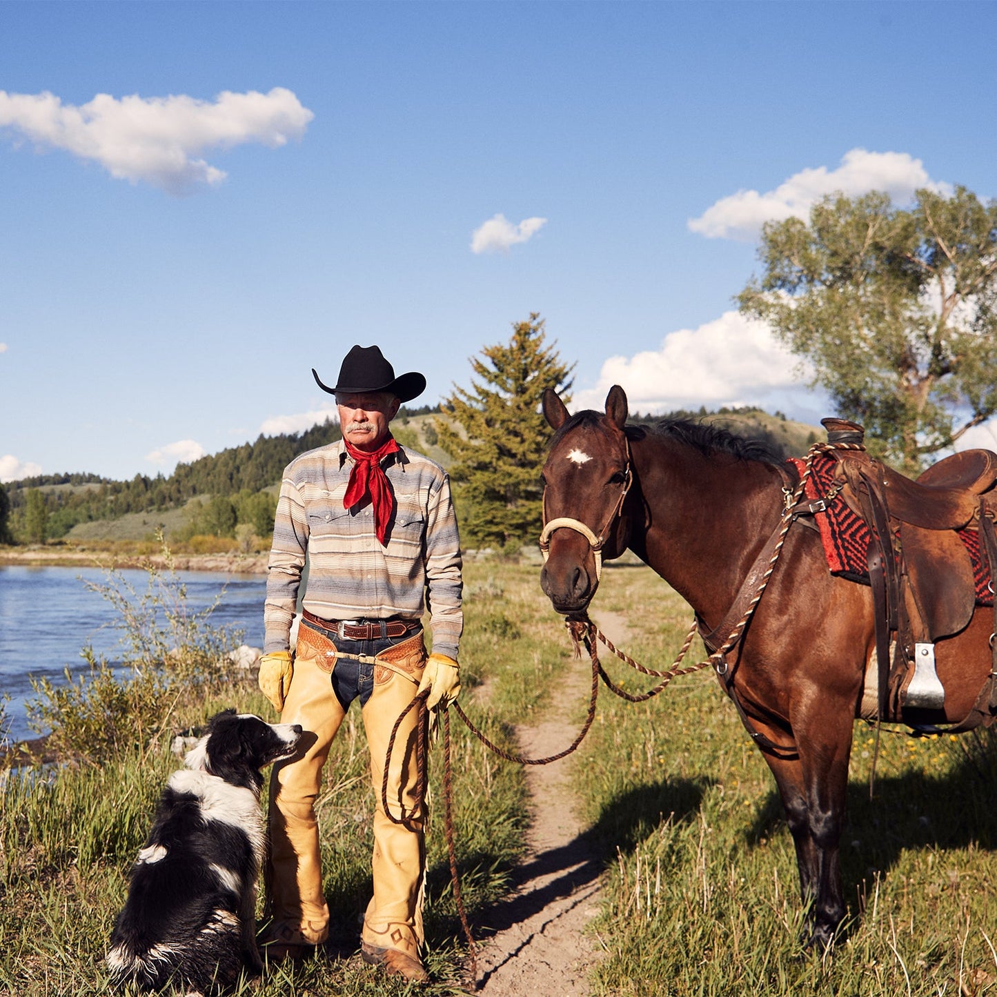 STETSON El Presidente {}