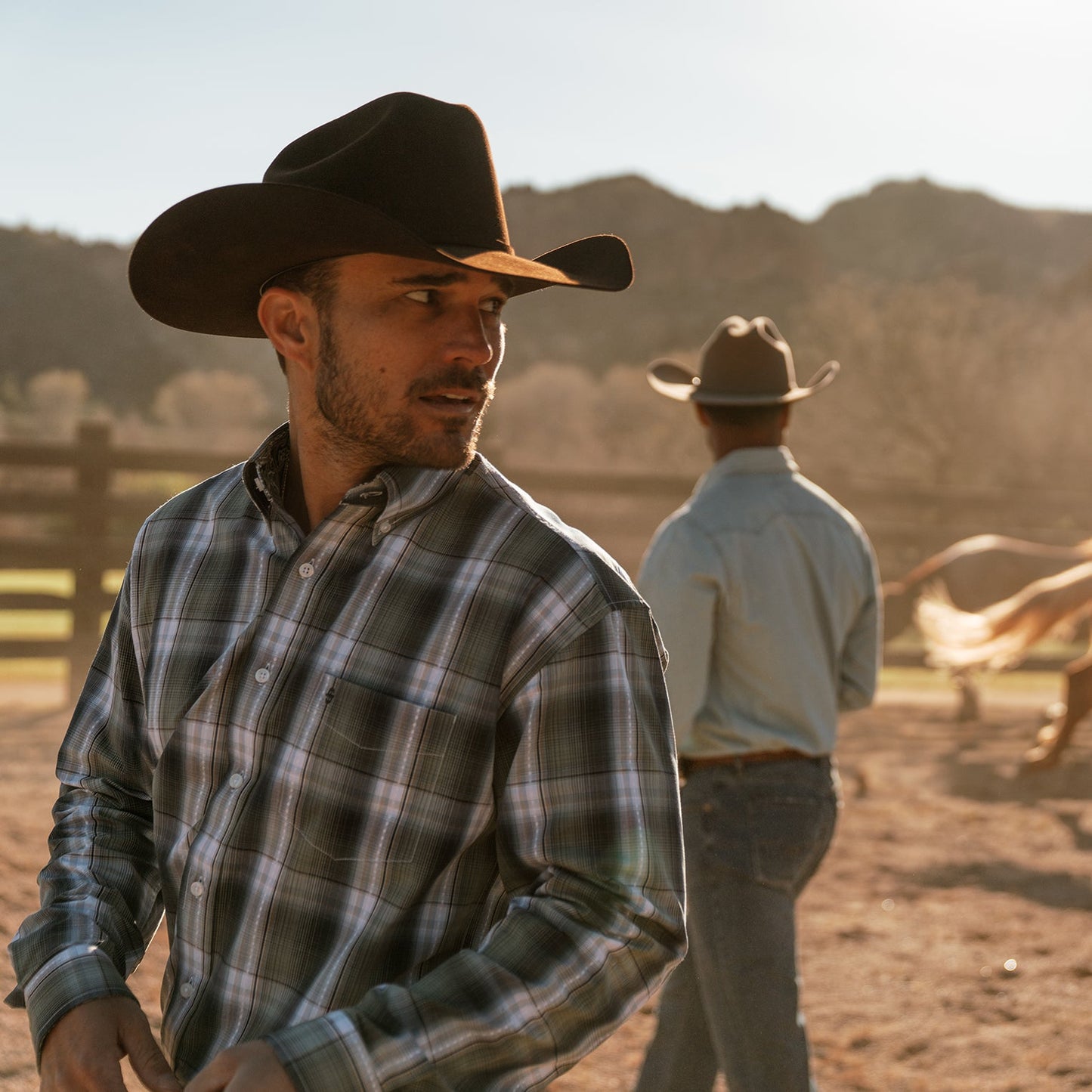 STETSON Skyline []