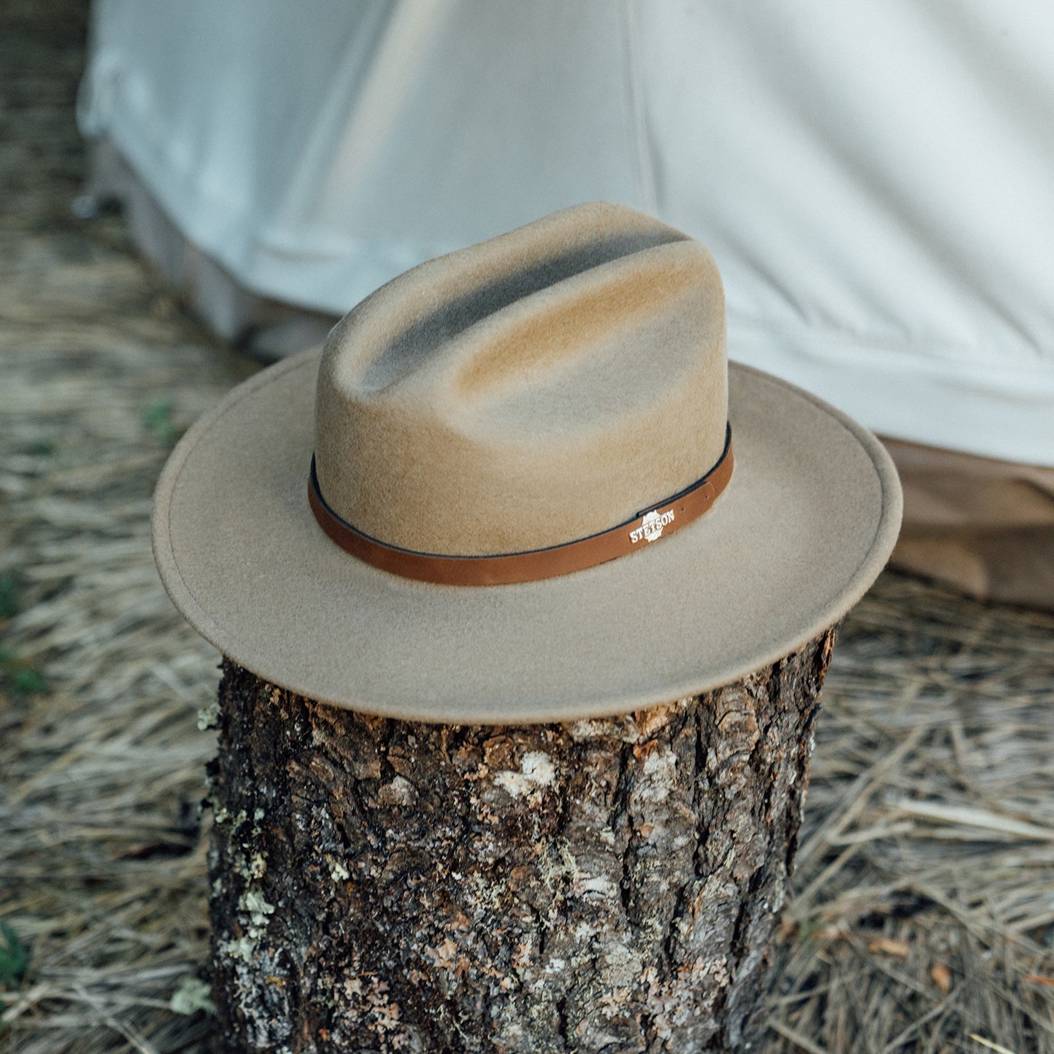 Beige fedora hat with a brown band on a tree stump