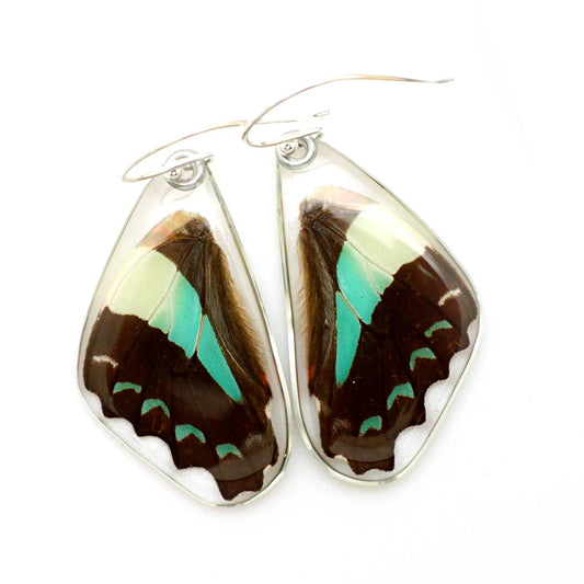 Butterfly Earrings, Bluebottle Butterfly