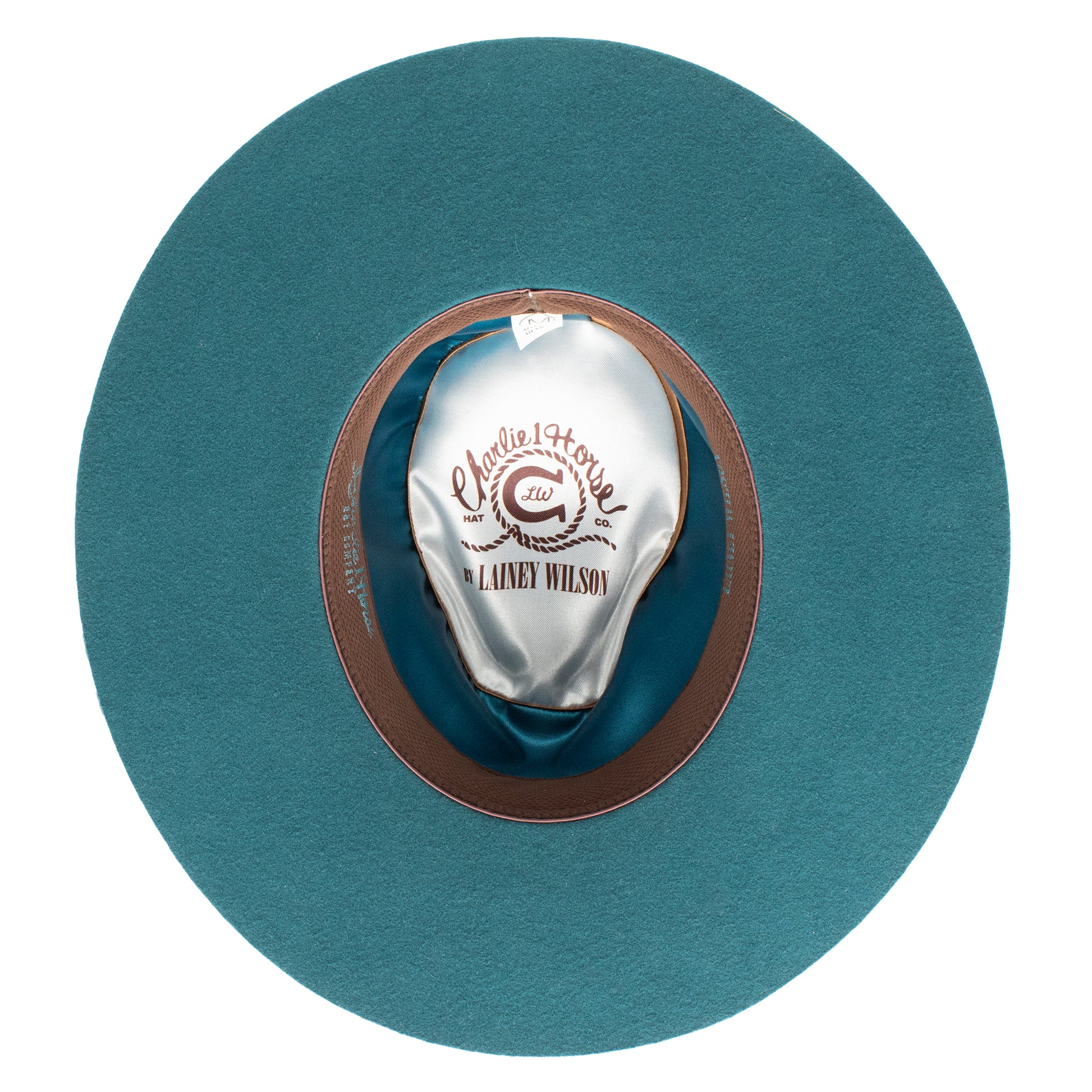 Teal hat with a silver spoon inside on a white background