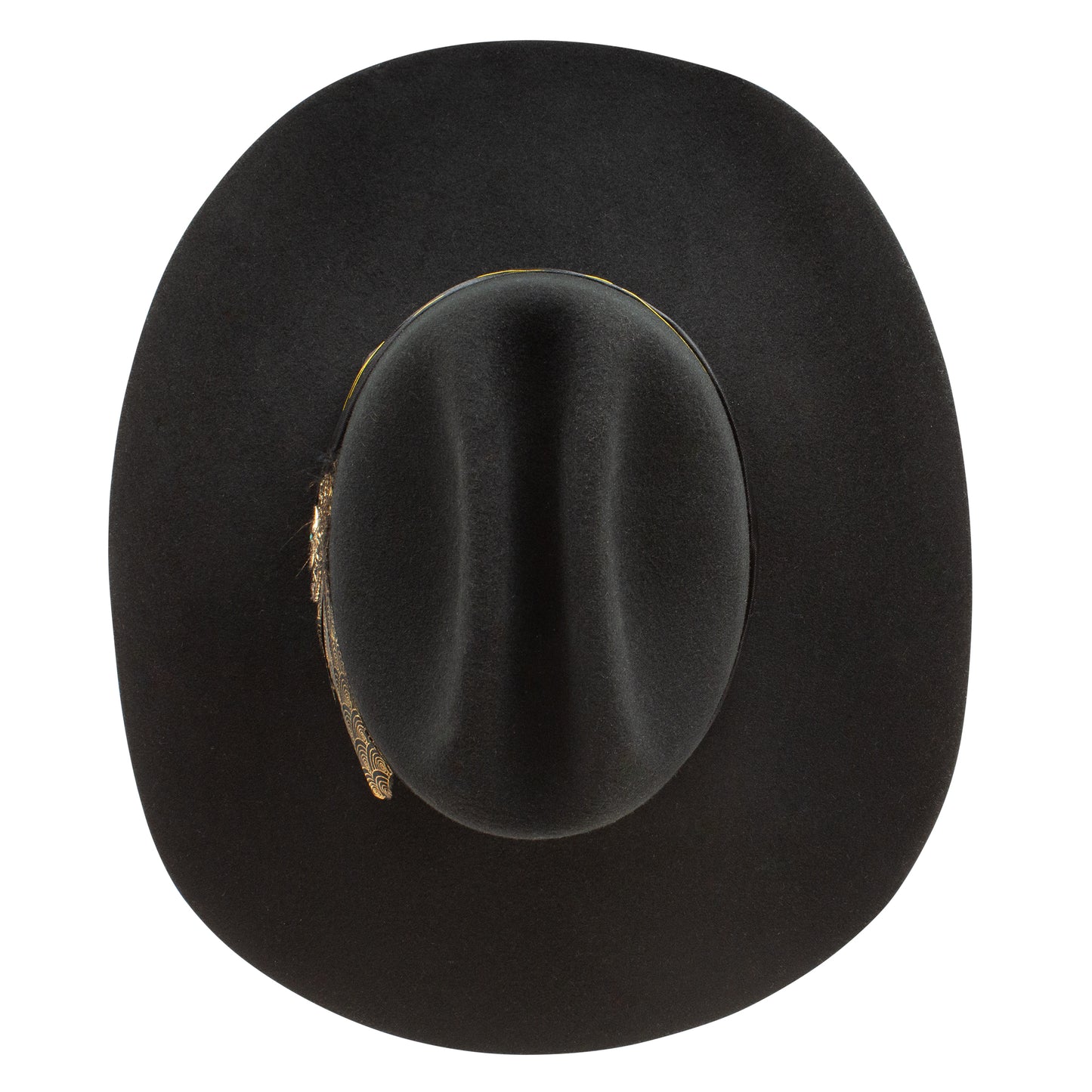 CHARLIE 1 HORSE HS Daredevil