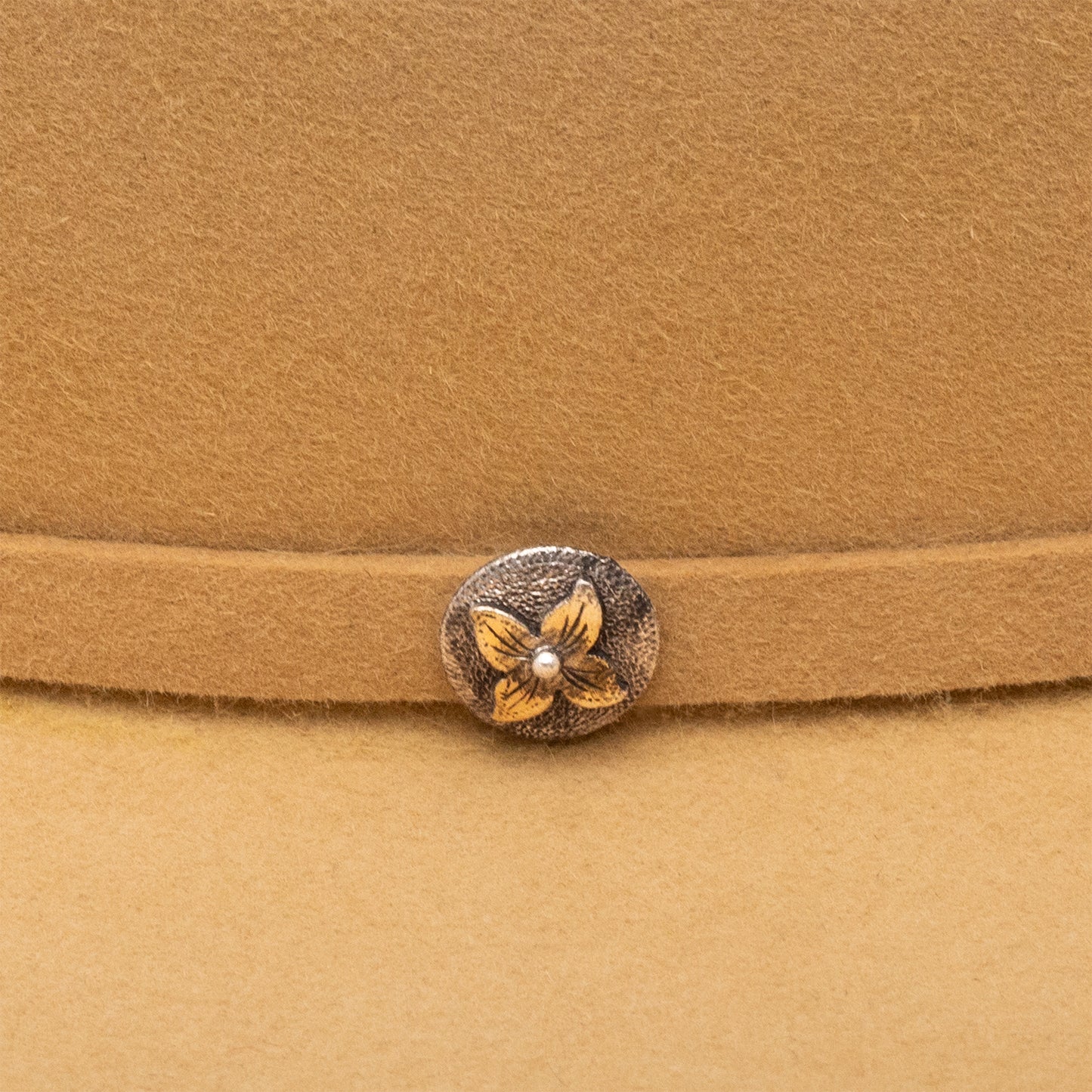 STETSON Pagosa []